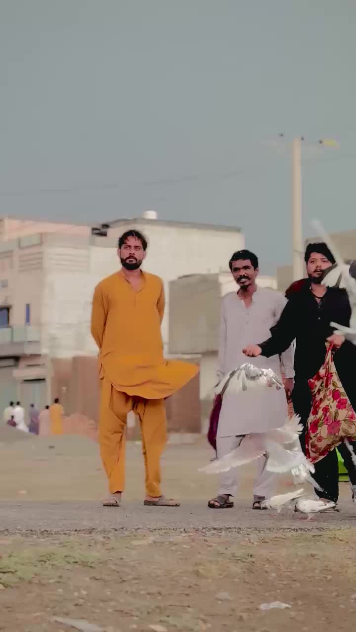 @عدیل رحمن لیہ وال کبوتر باز
