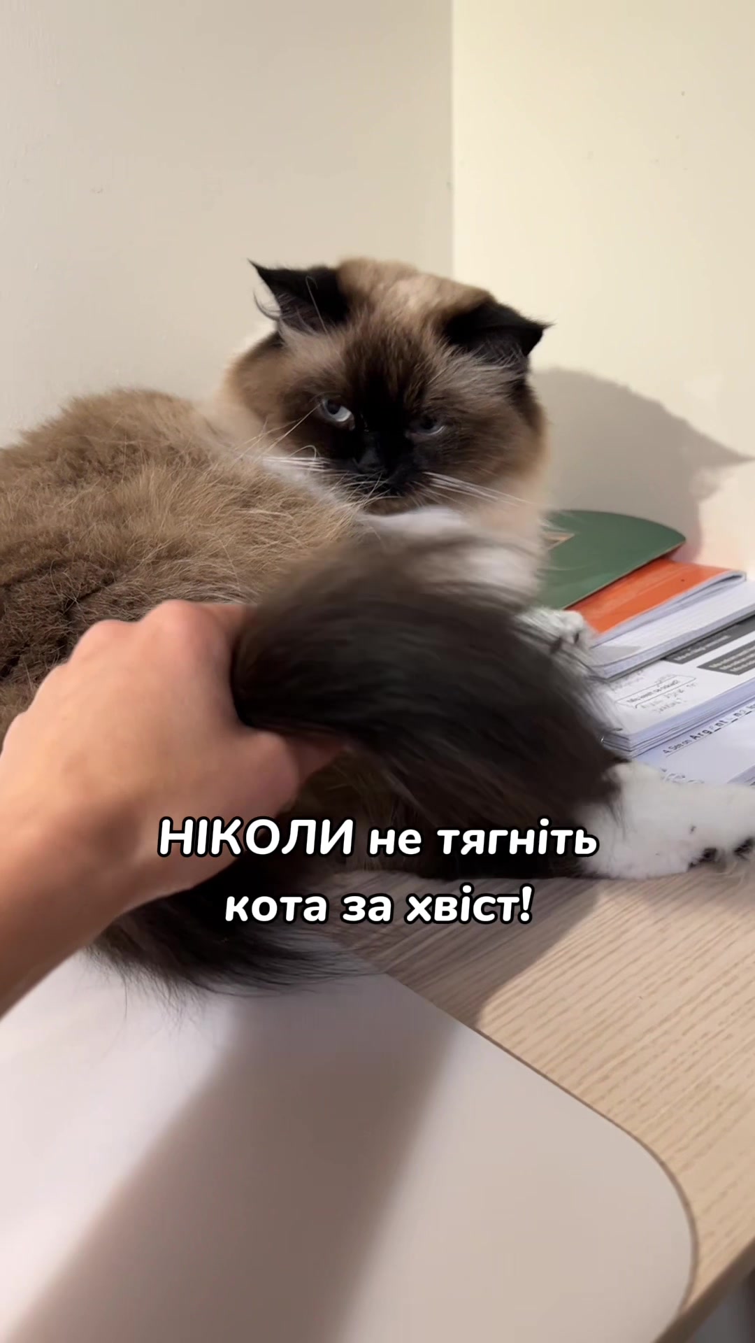 @Місс КІСЯ