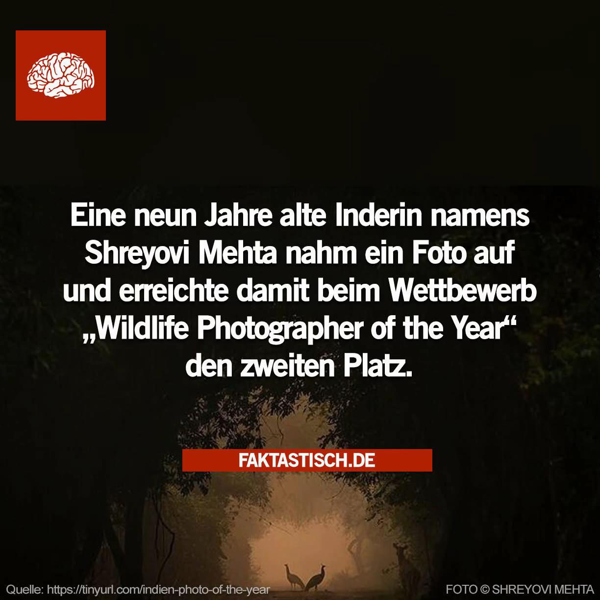 @Faktastisch