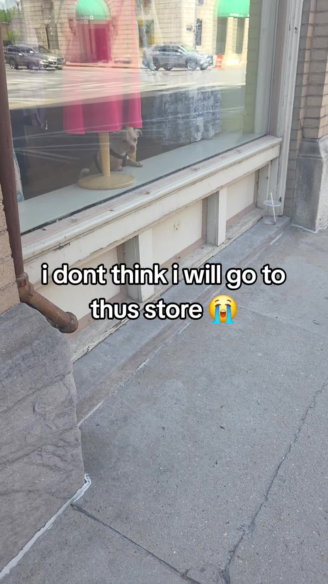 @Nala the Service aussie