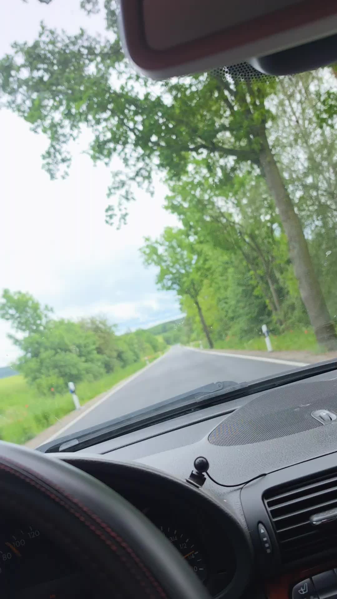 @Basti🇩🇪🦅