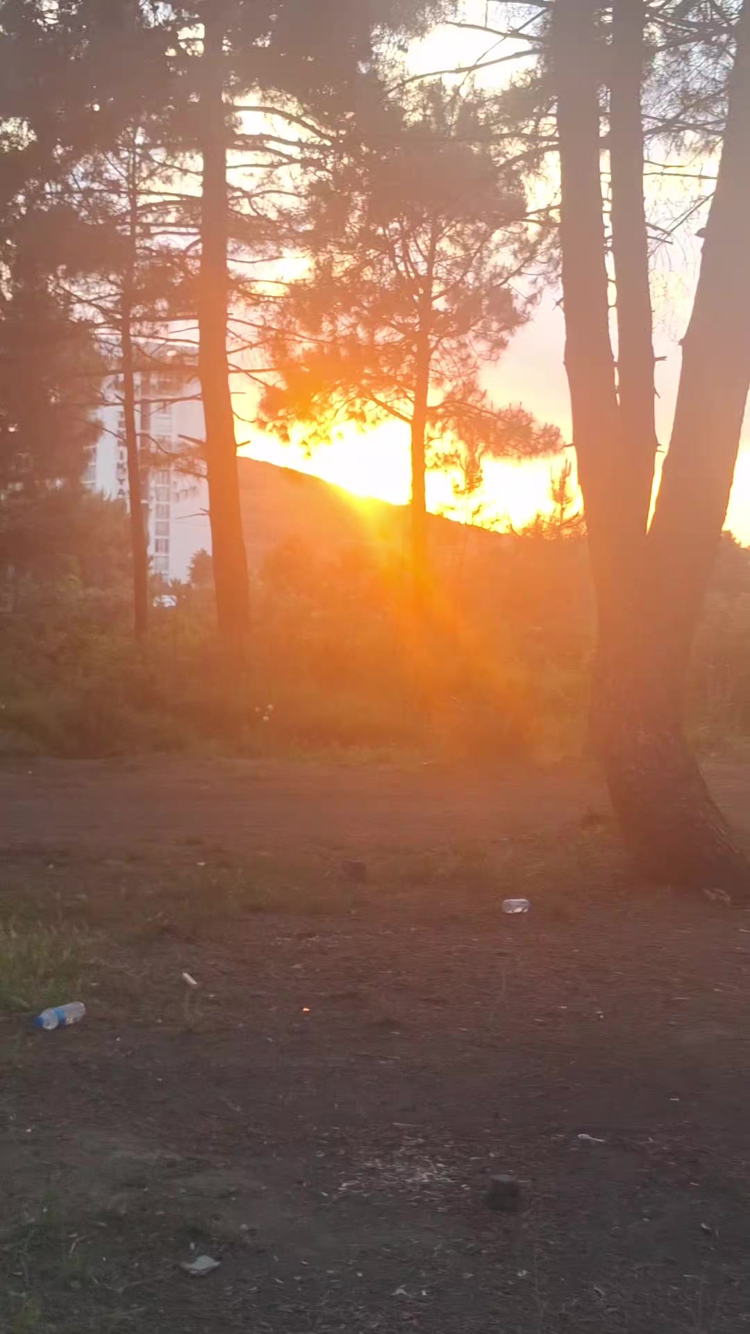@sevda5834