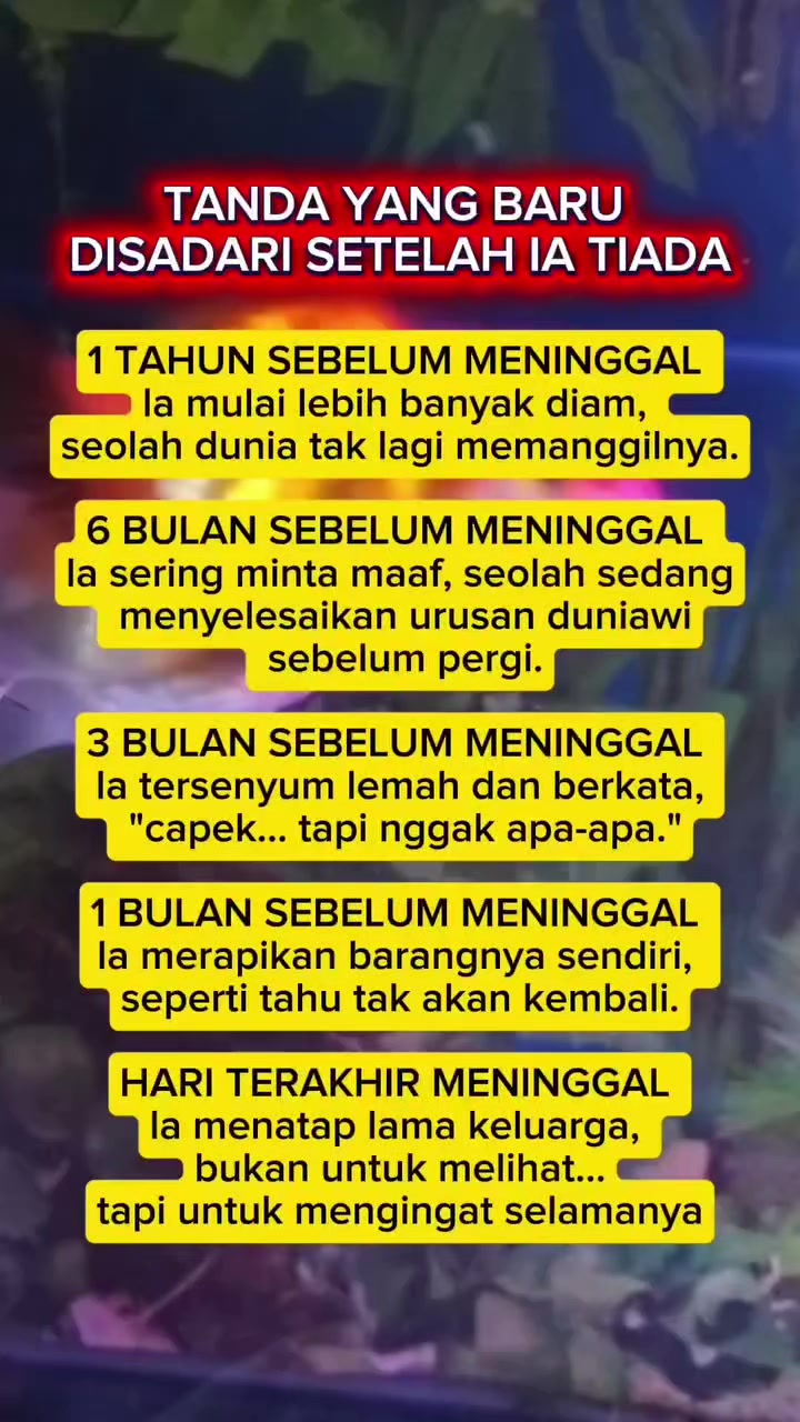 @The Indonesian Blue Channel