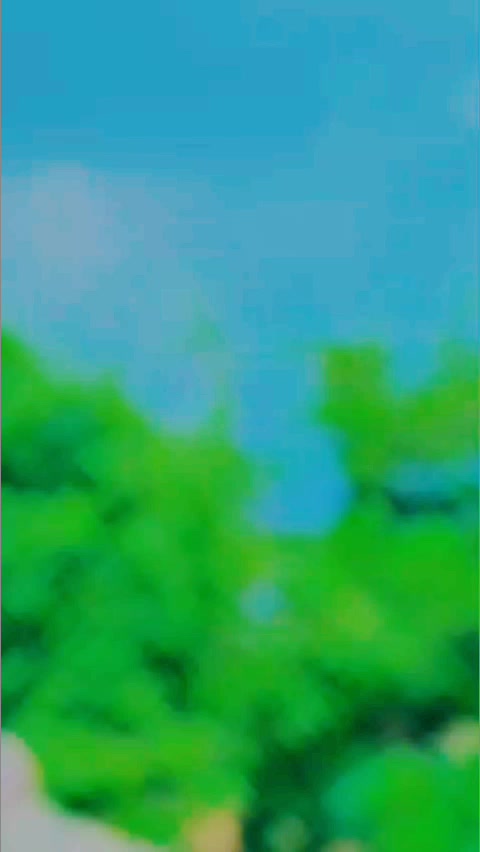 @چوہدری دانش پسوال ❤️🐯