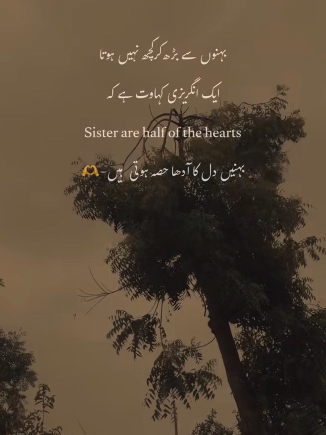 @&ldquo;🫀شیرِنی راجپوت دی&rdquo;🫀