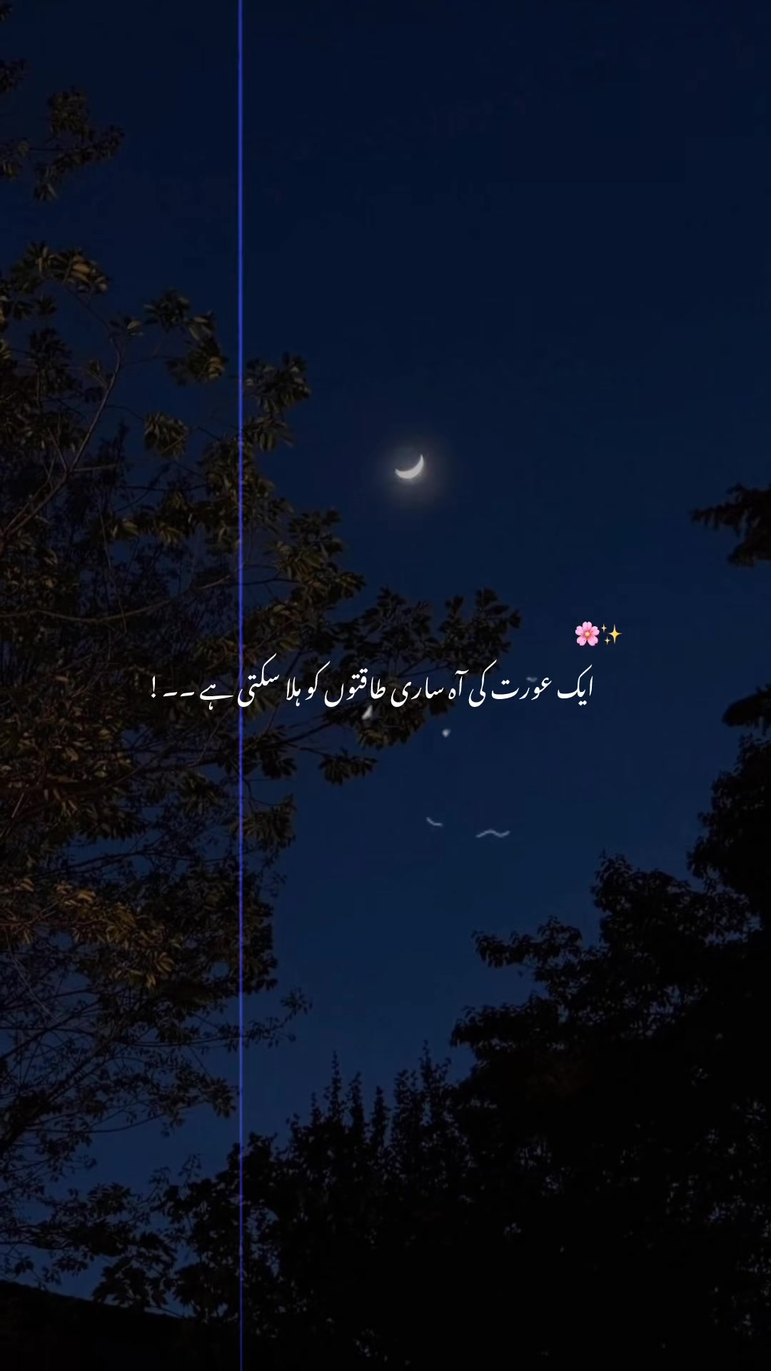 @𝐒 𝐀 𝐀 𝐃 🚩
