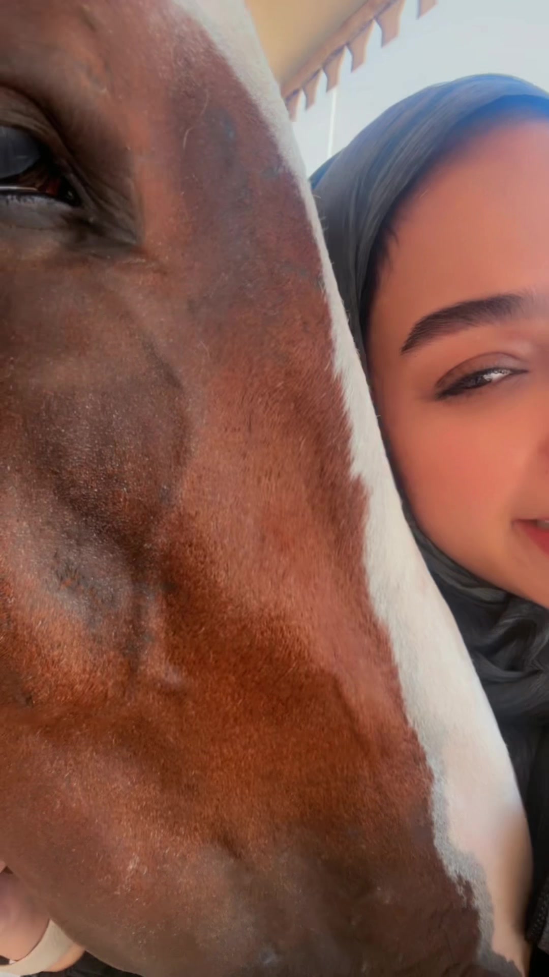 @Shamayel