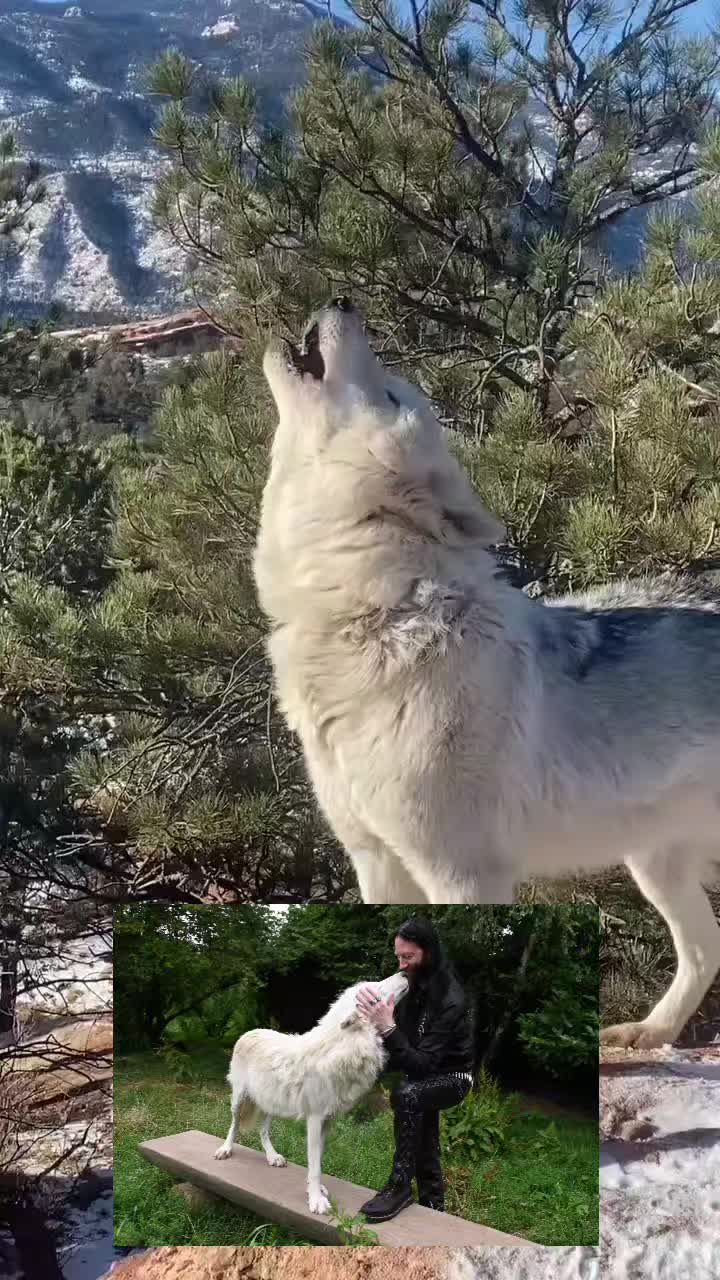 @🐺Lexx🤍🪽