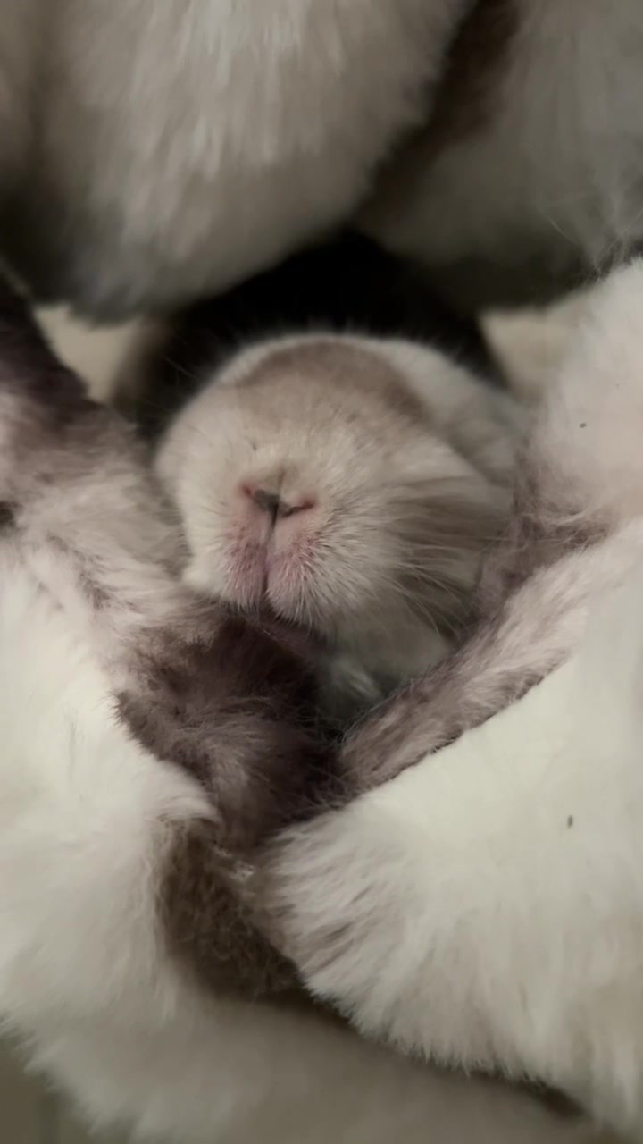 @Лулу