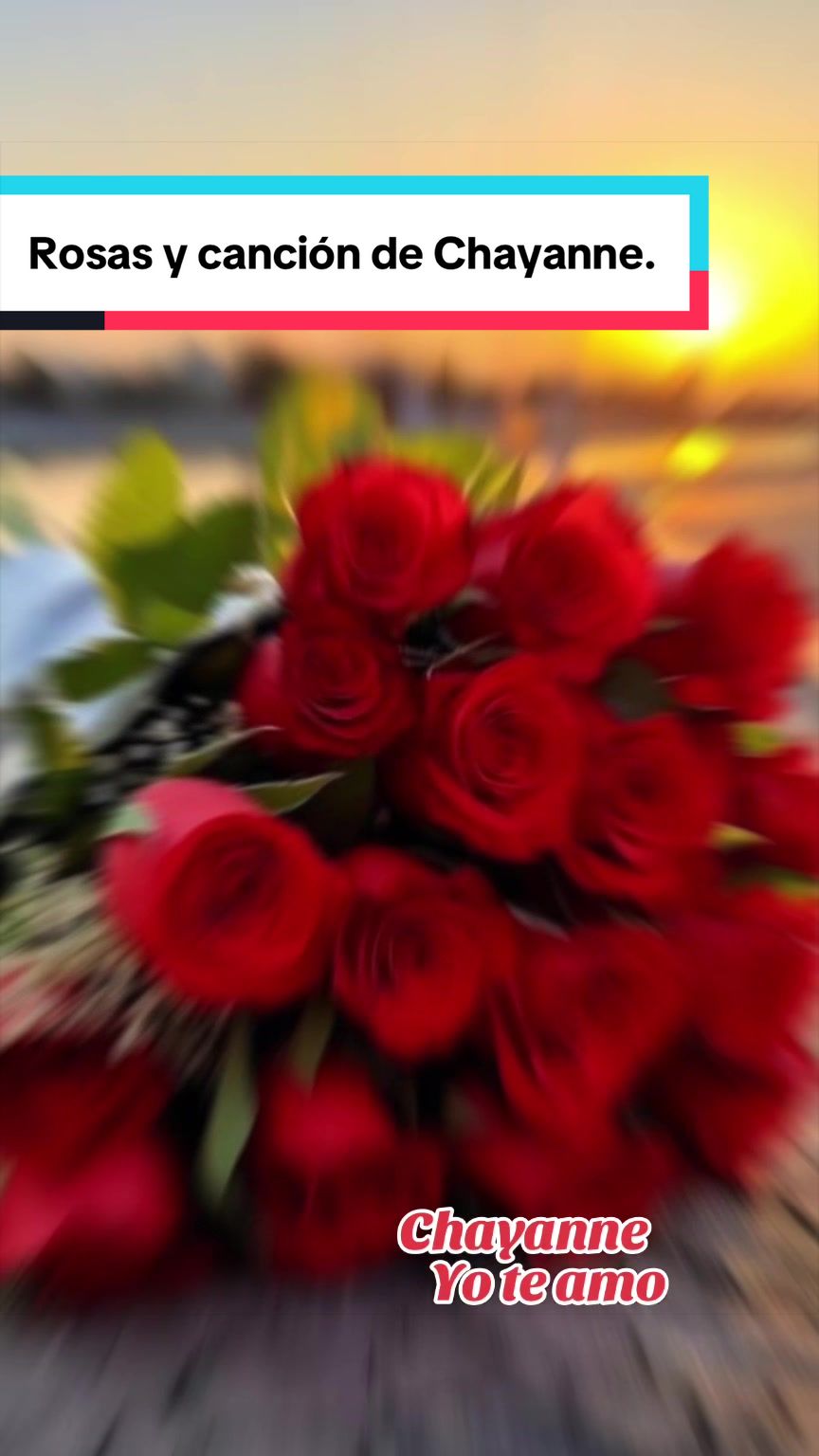 @💛Olgaconesa5💛