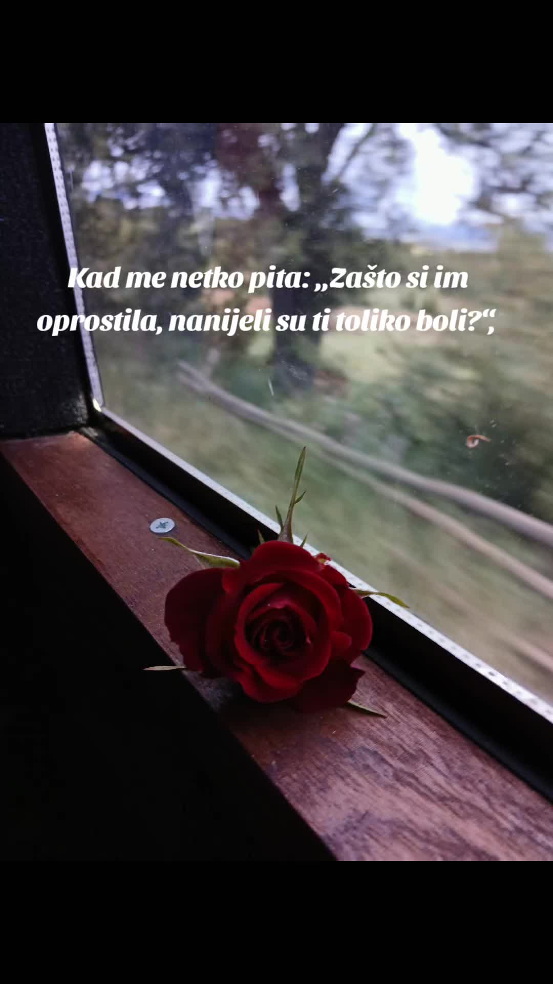 @🐬 Roze 🐬