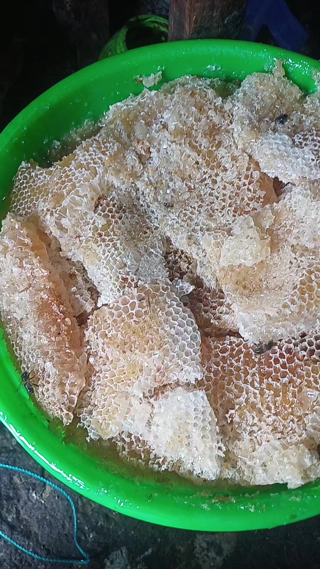 @እሩቅያ የኩታበሯዋ 🦋