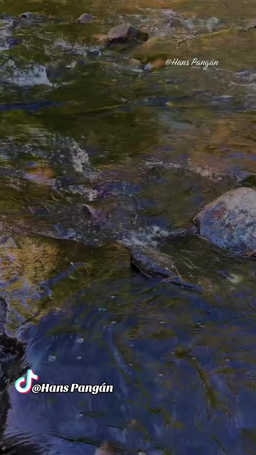 @🇬🇹𝑯𝒂𝒏𝒔 𝑷𝒂𝒏𝒈𝒂́𝒏 🎥&reg;