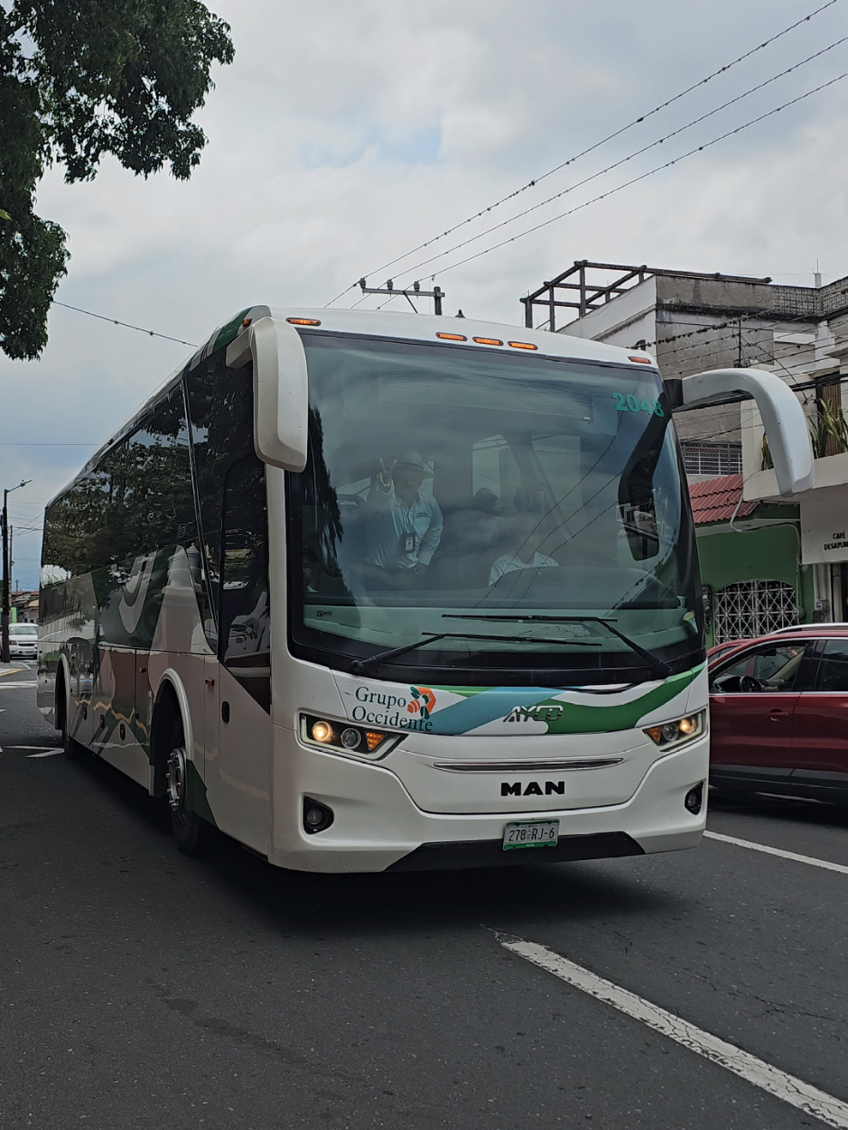 @cheit0:🚎🚎🇲🇽