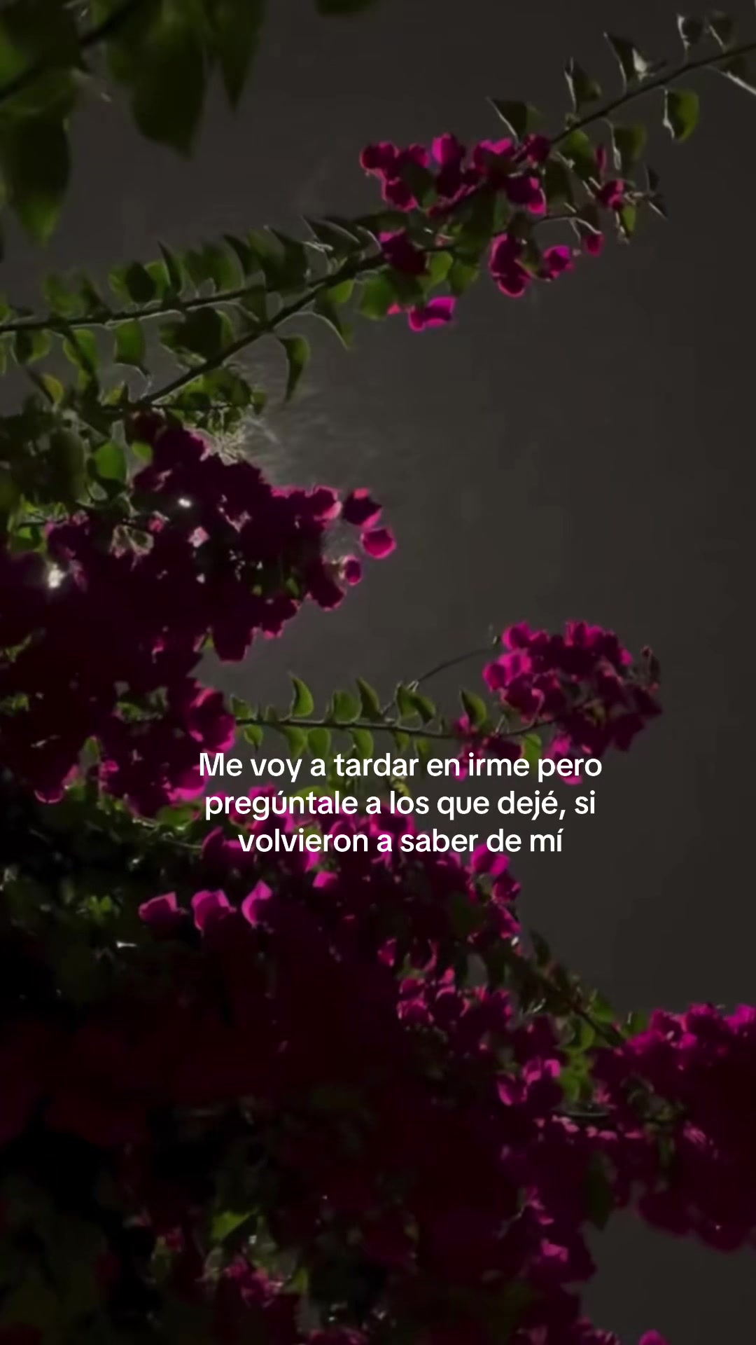 @xx._.reels