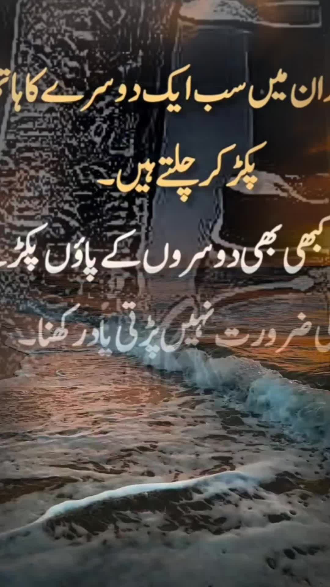 @amaan1949