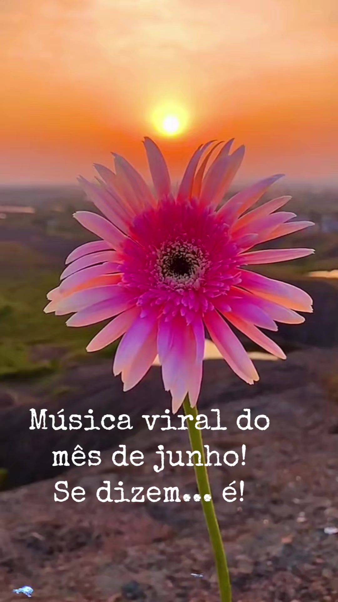 @MARIAESTHER MBommS