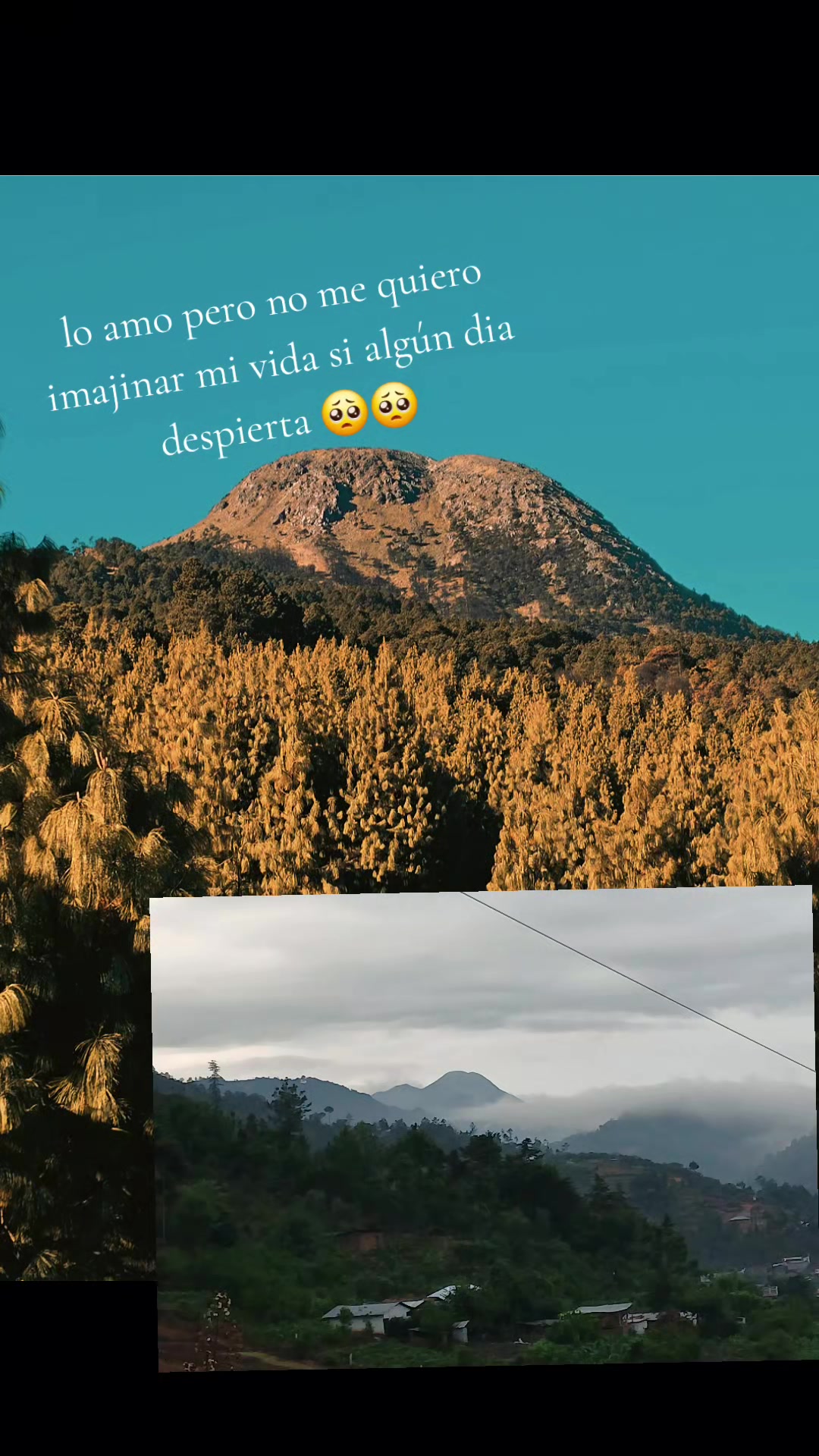 @Odalis Tom&aacute;s