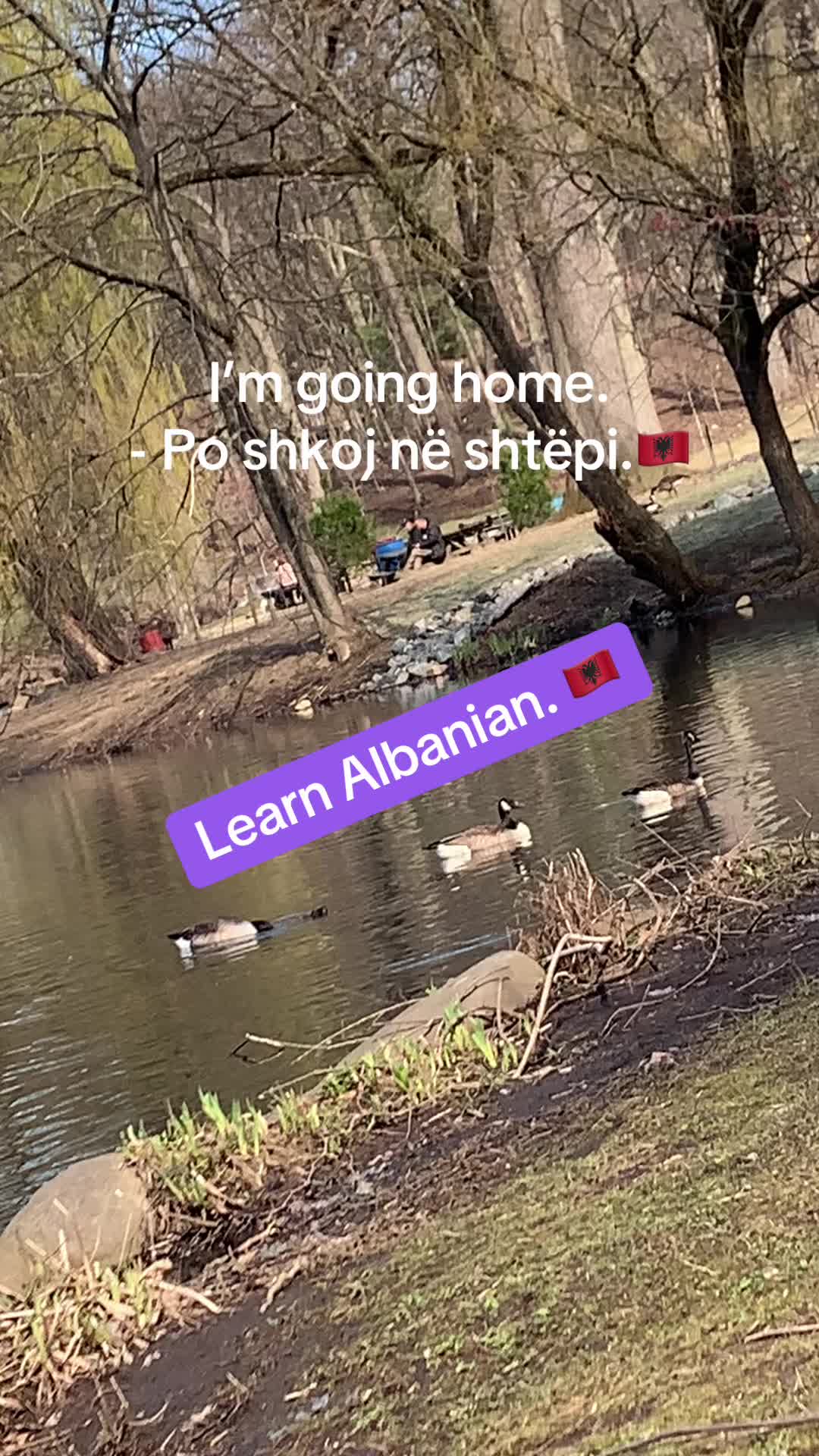 @Albana