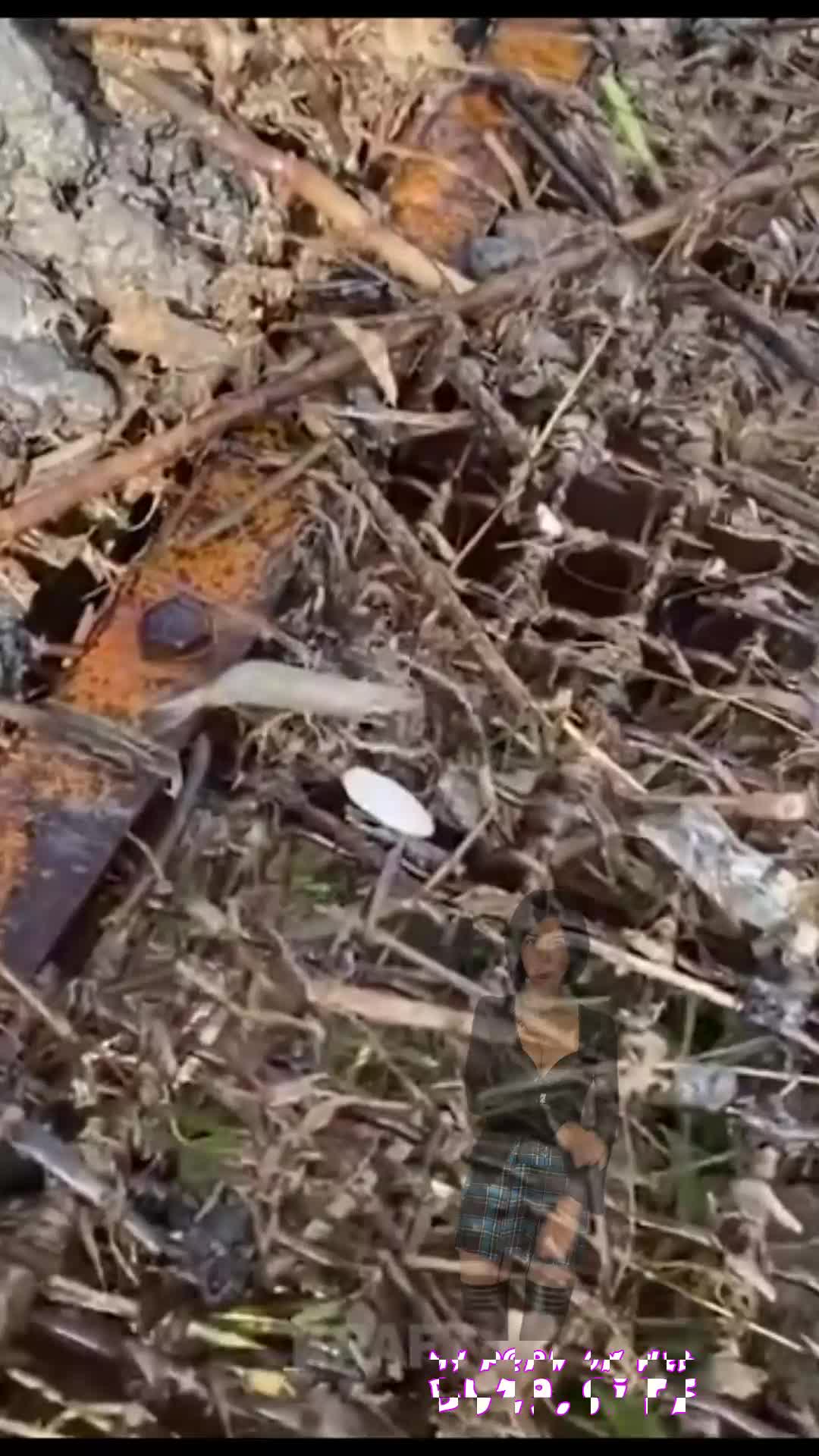 @user6929538374317