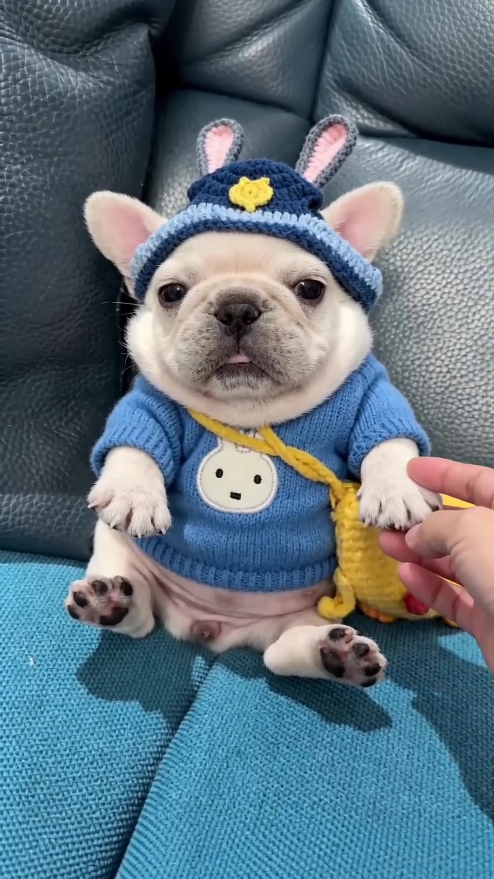 @MilkPupDaily