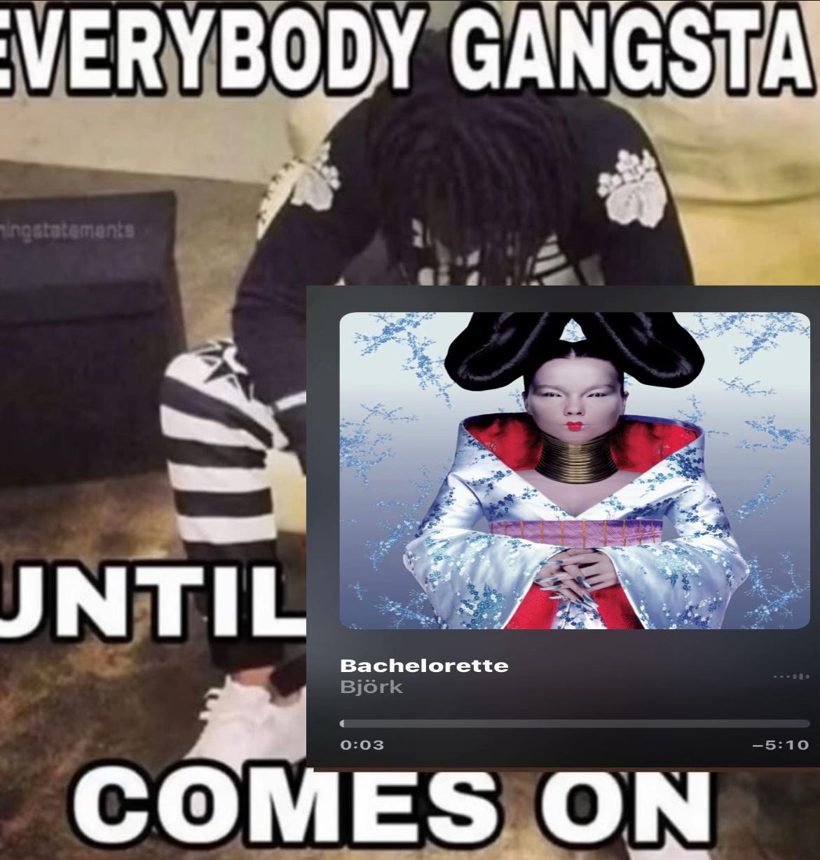 @bjork_momazos