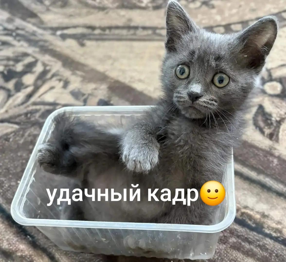 @🇷🇺СЕРЁГА 🇷🇺