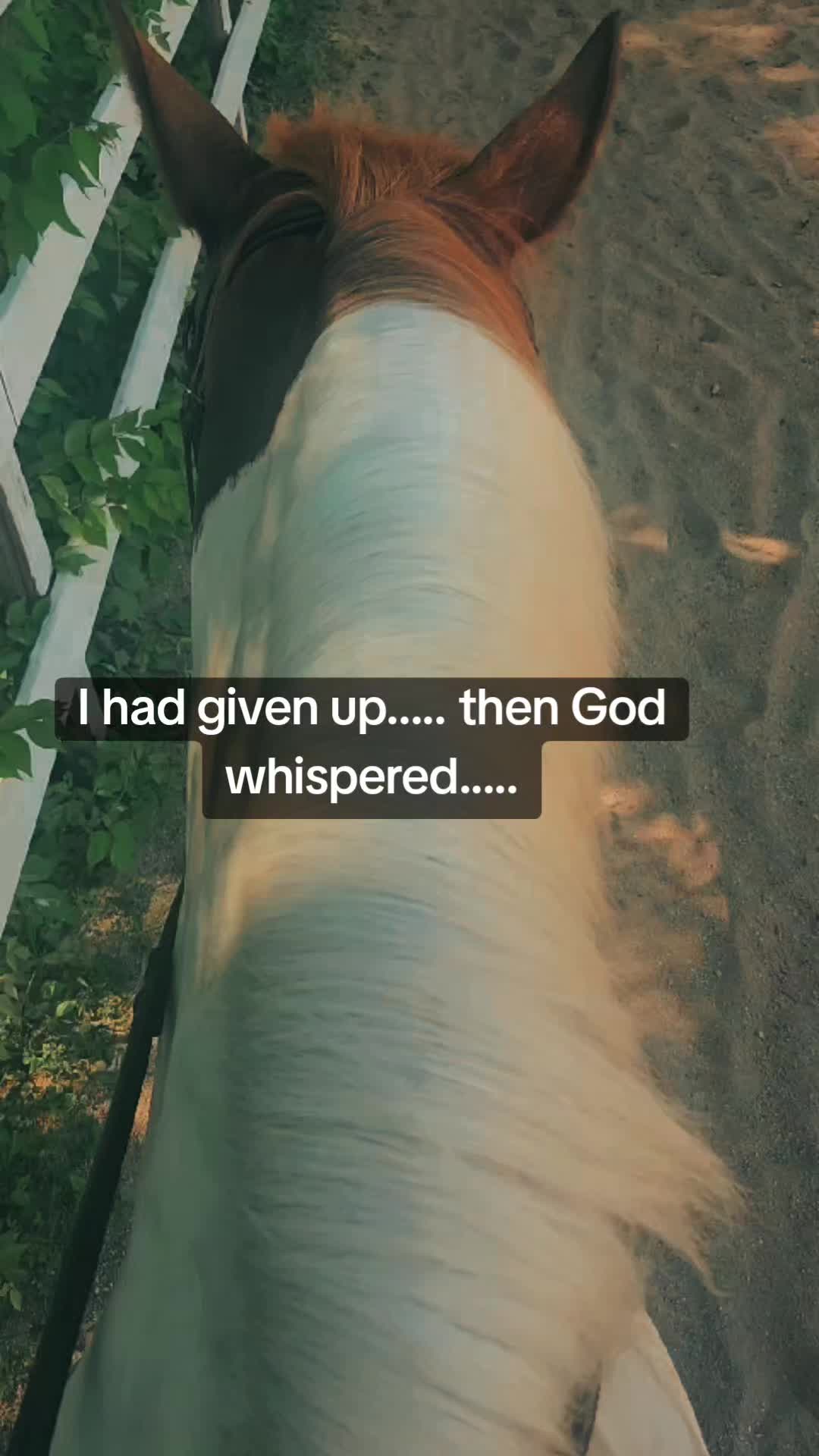 @untamablecowgirl🛢🐎&hearts;️