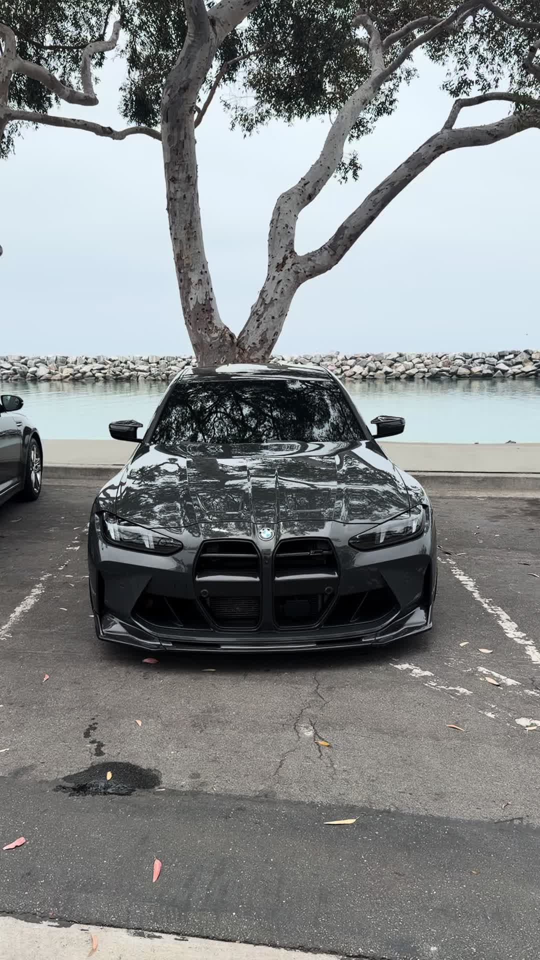 @sheeshg8x