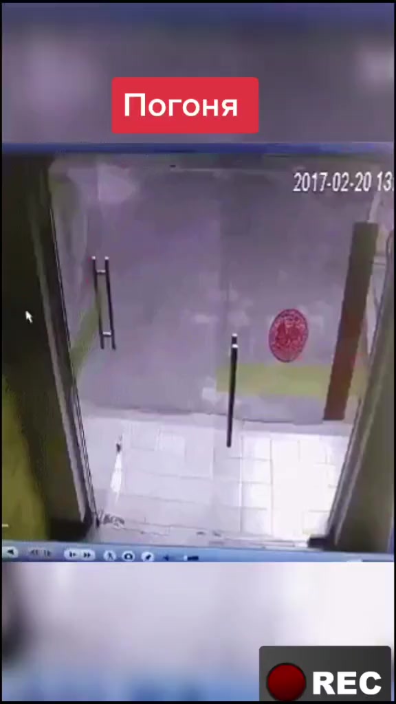 @Лариса