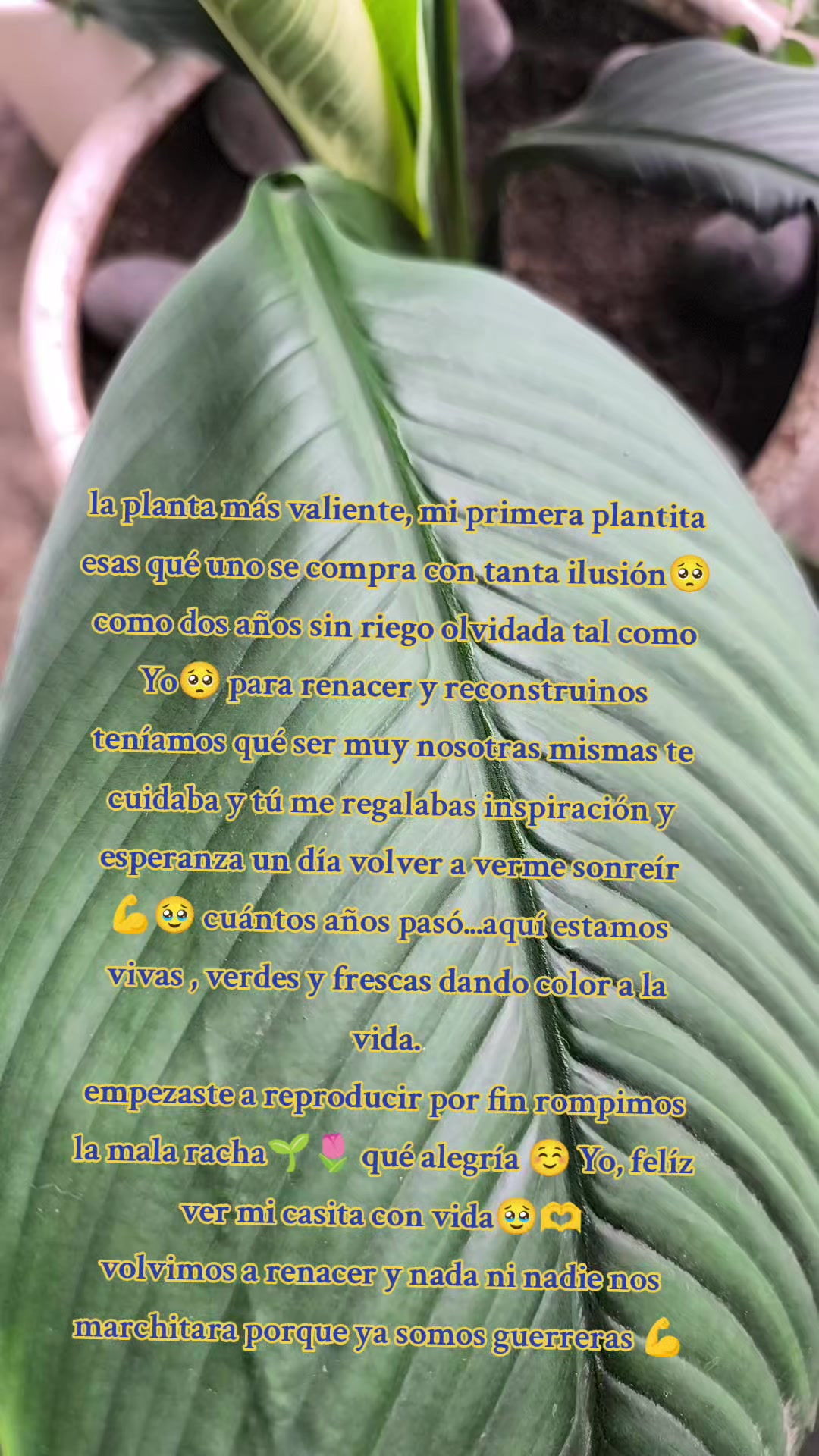 @HELEN❣️ 🐝🦋 RAYO DE LUZ 🦋🐝