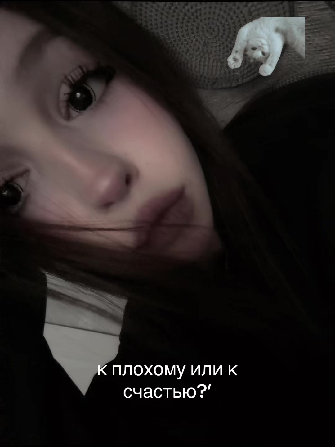 @мяу