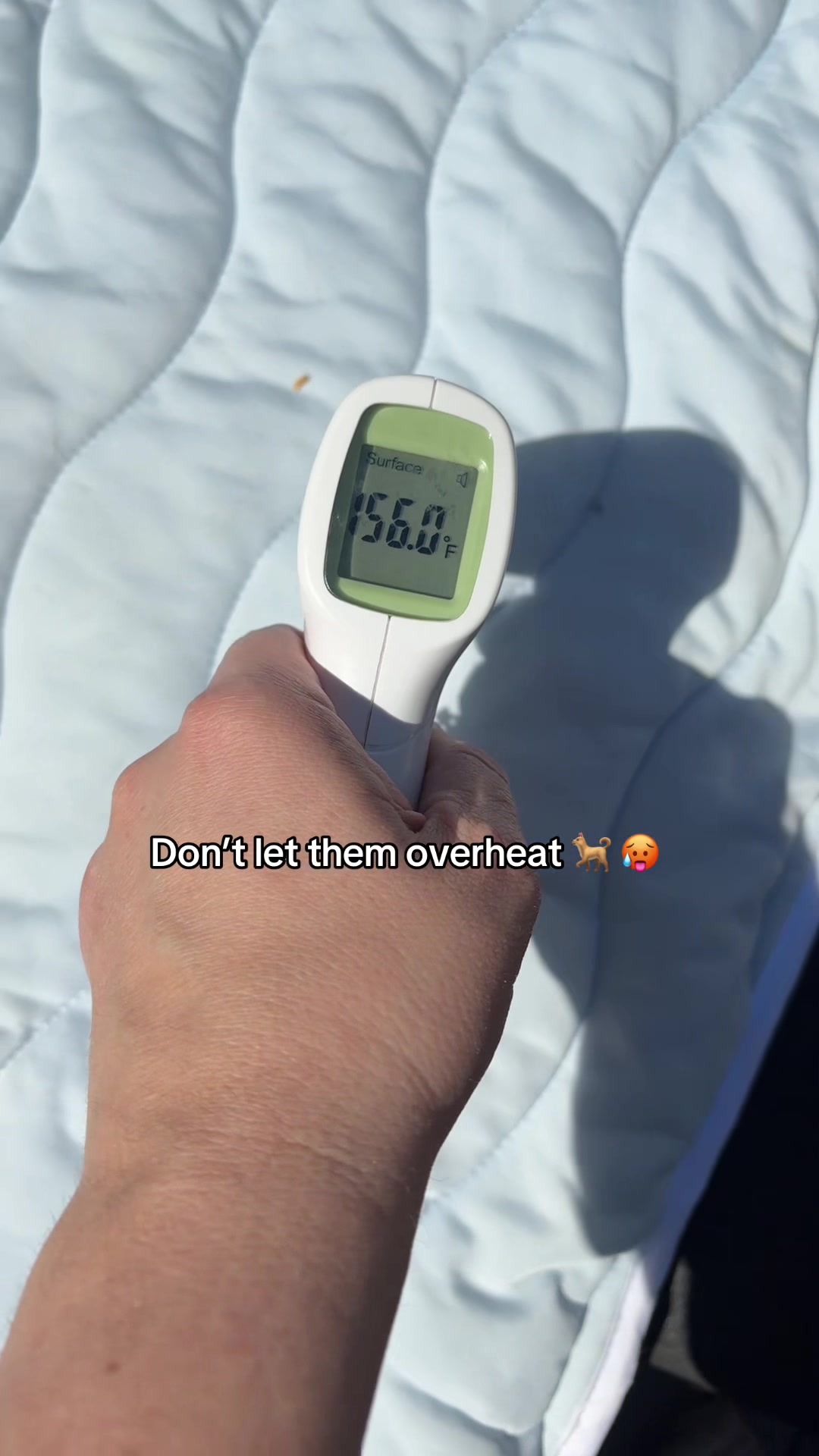 @noelle 🩵