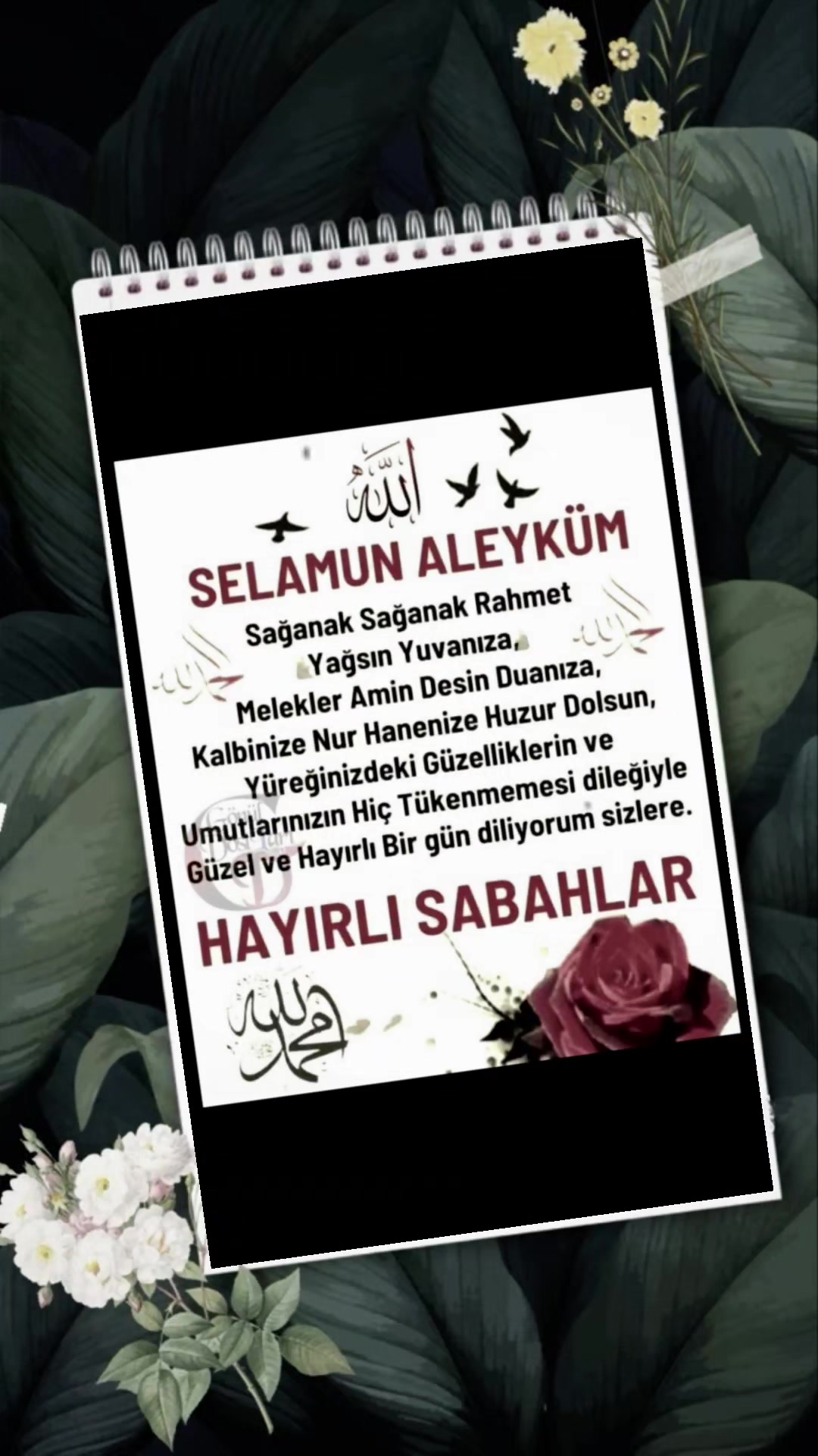 @03 ŞAHİN 03