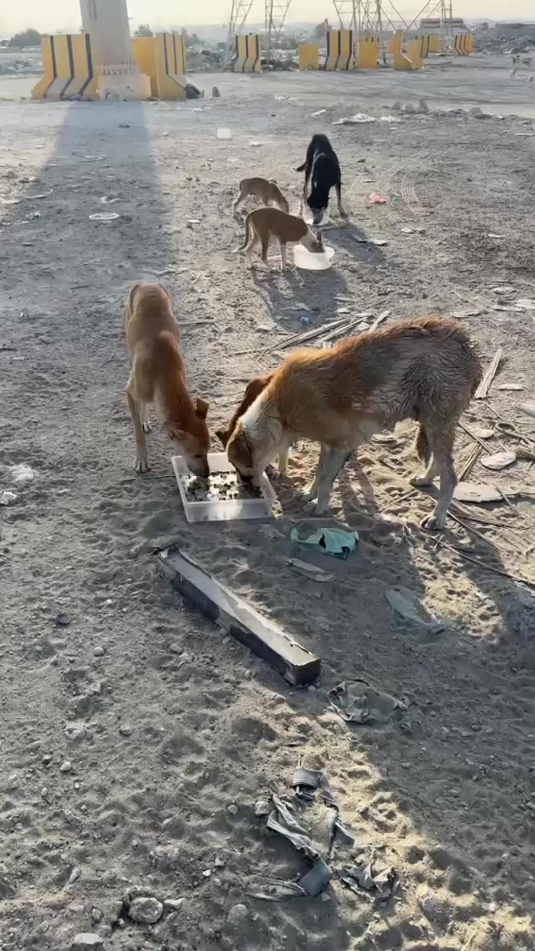 @Narayan karki