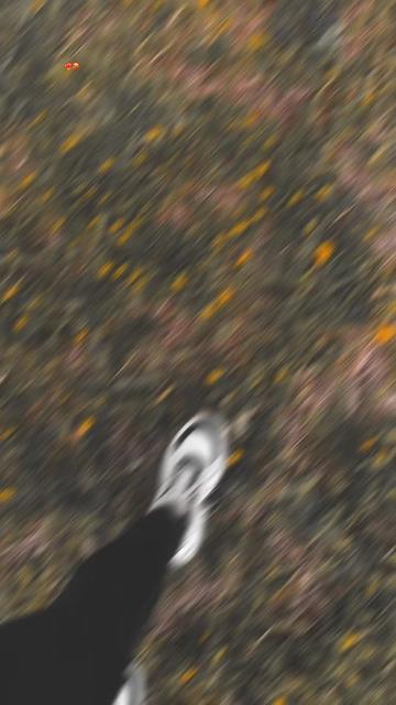 @Ӵℯ&rho;&tau;০ᗷ&sub;ku&uacute; ℳuᏁᏘя😈