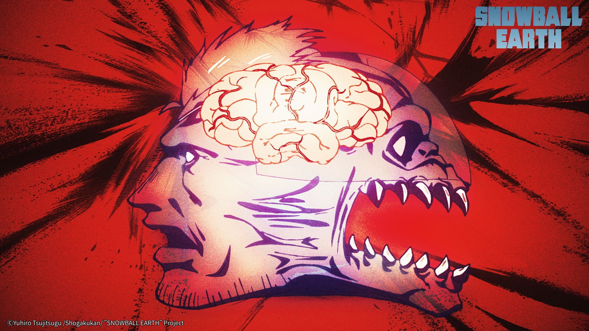 @TOHO animation Official