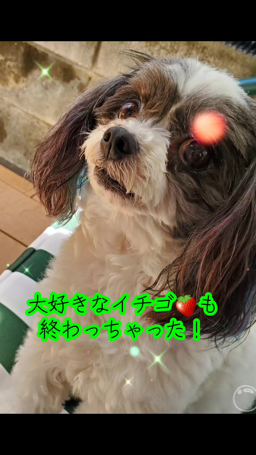 @井坂みどり