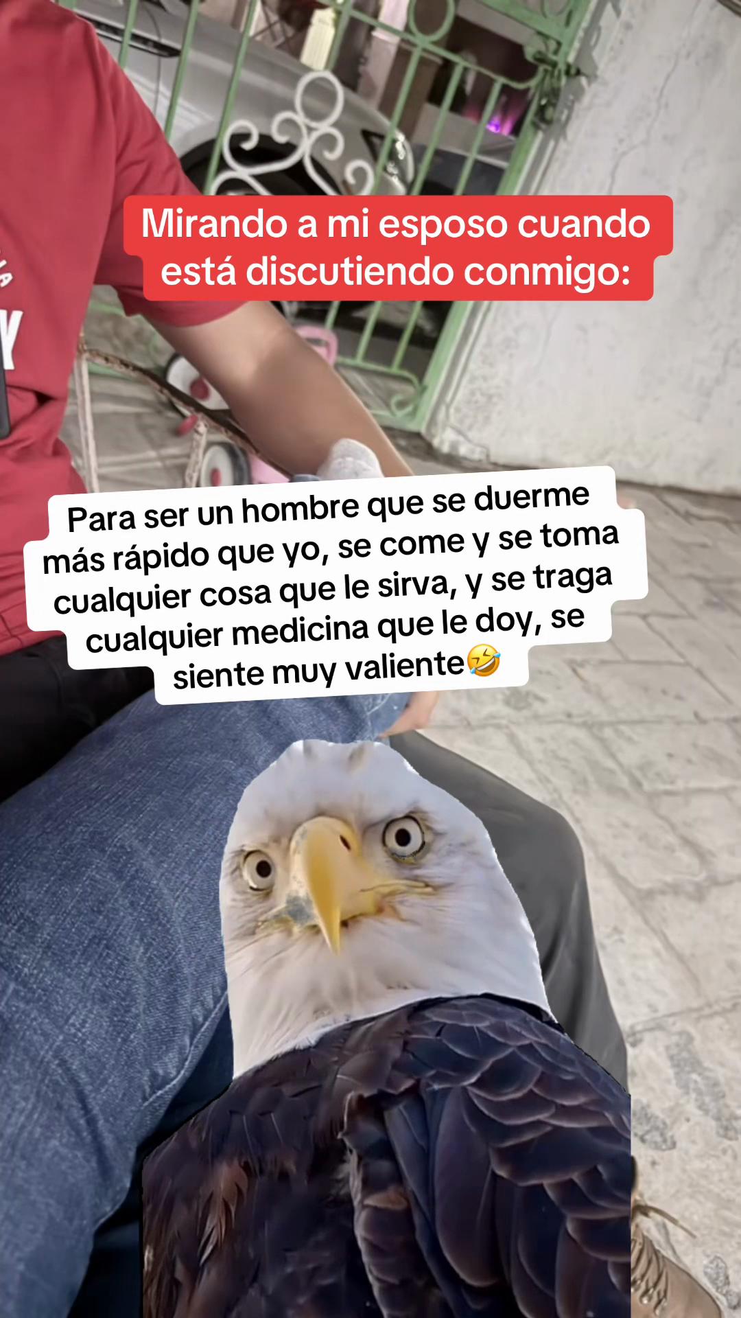 @Ale Moreno Ochoa