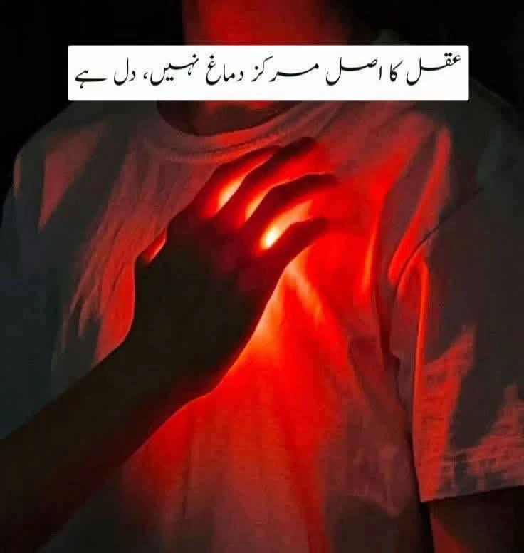 @Zikr.Aur.Fikr