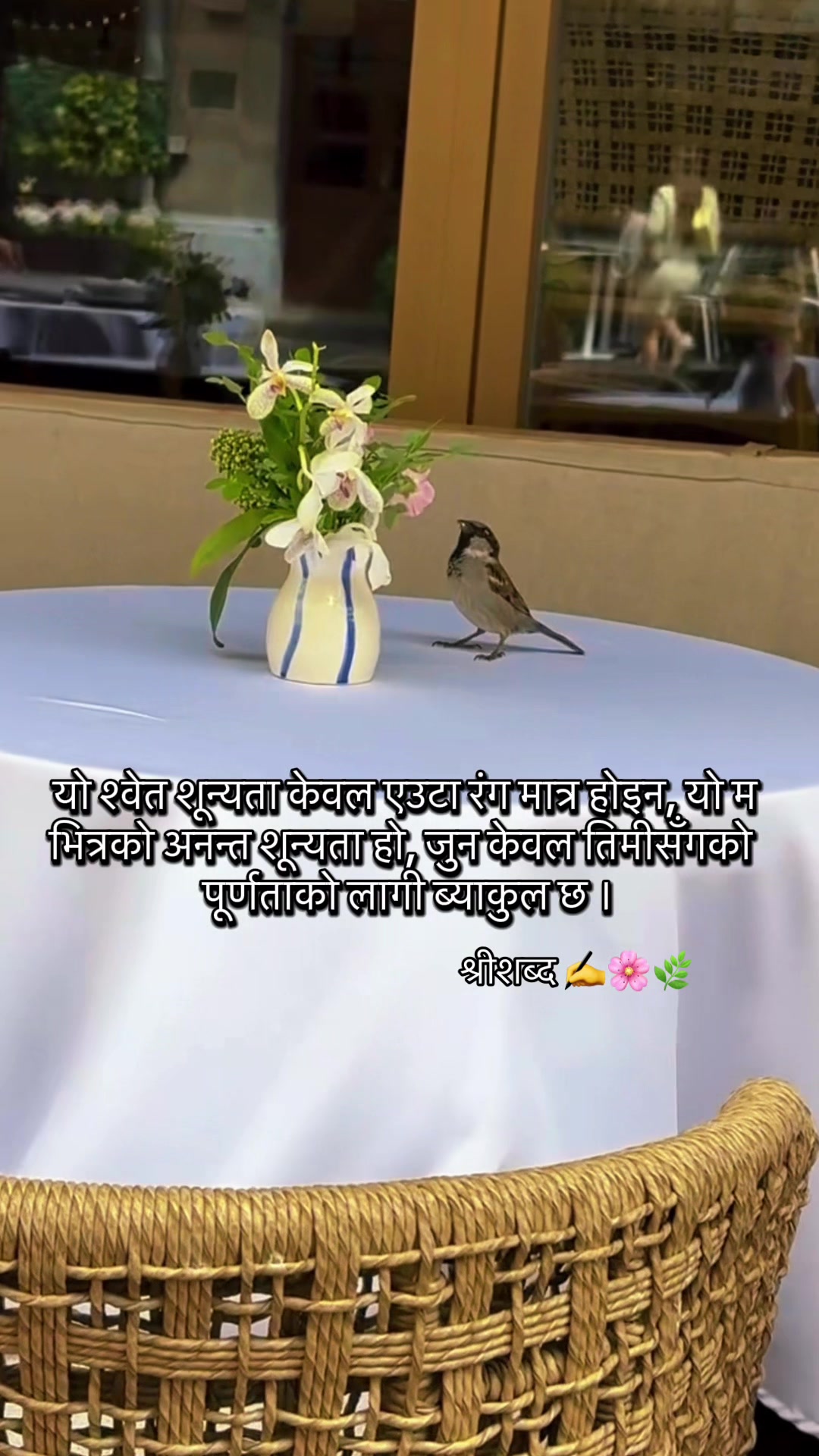 @🌿श्रीशब्द&hellip;.✍️🕊️🍁🍂