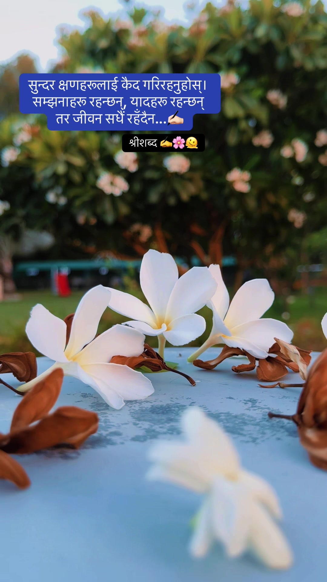 @🌿श्रीशब्द&hellip;.✍️🕊️🍁🍂