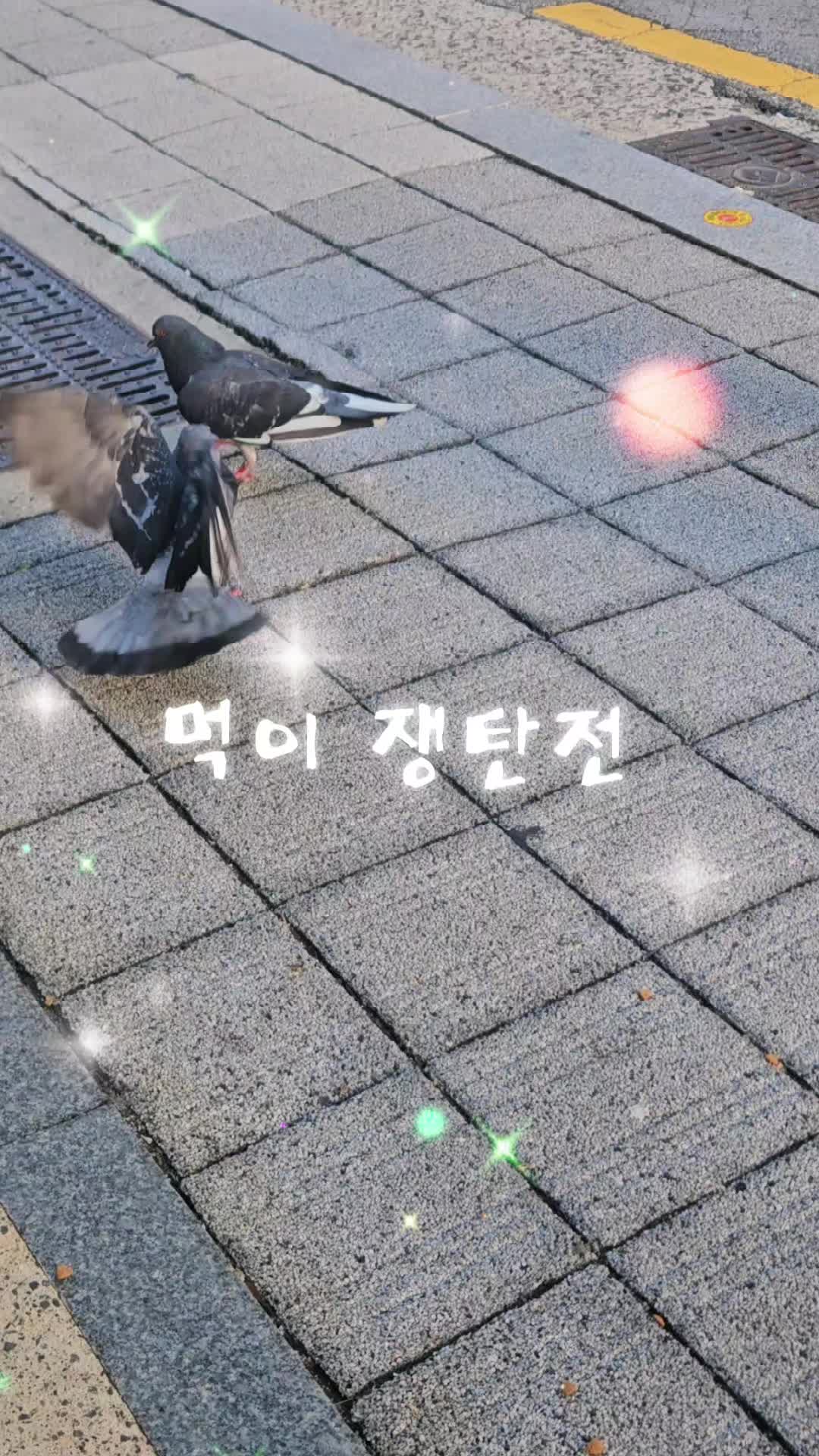 @🦜막끌리네🦜