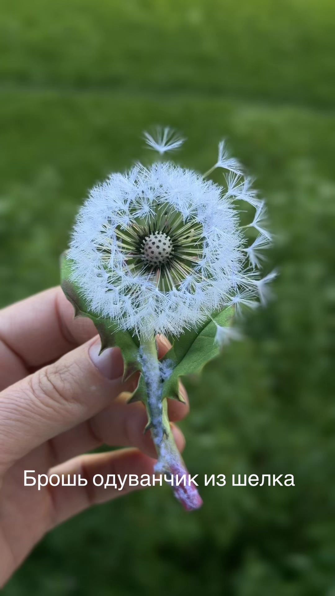 @tanya_forest_flowers