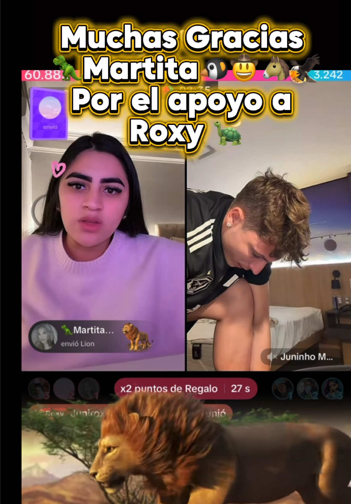 @EvaRox⚜️🐢