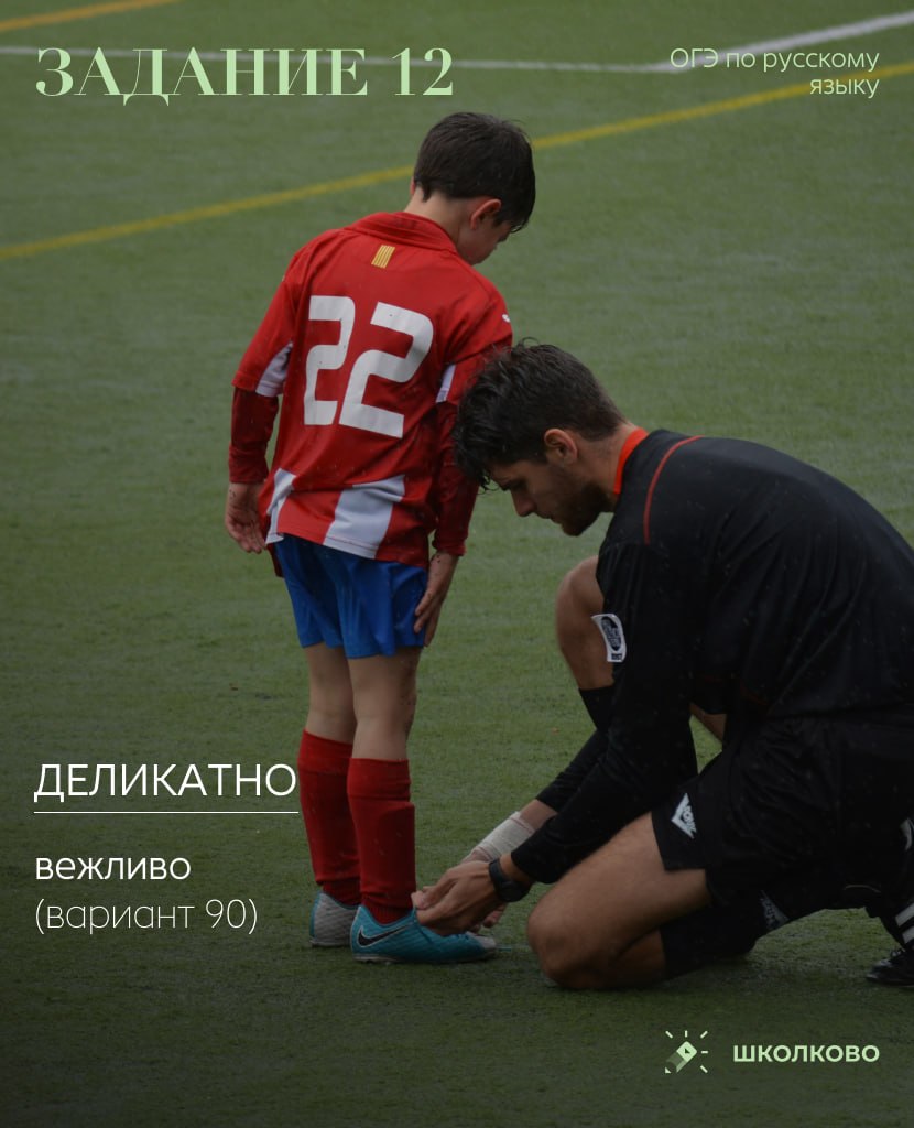 @Ксения Сумина