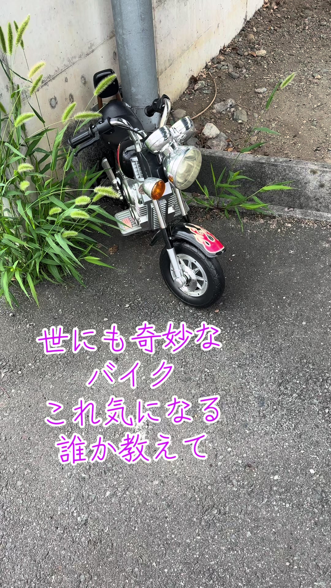 @高崎駅のやばいフリーザBOY🧑&zwj;🏫🍕🥤(群馬)