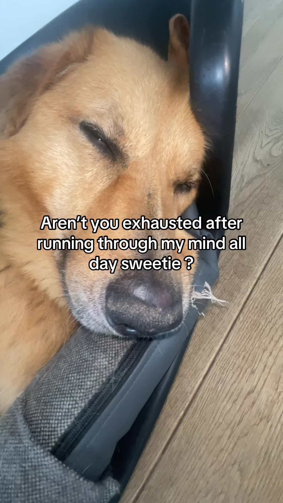 @Neo