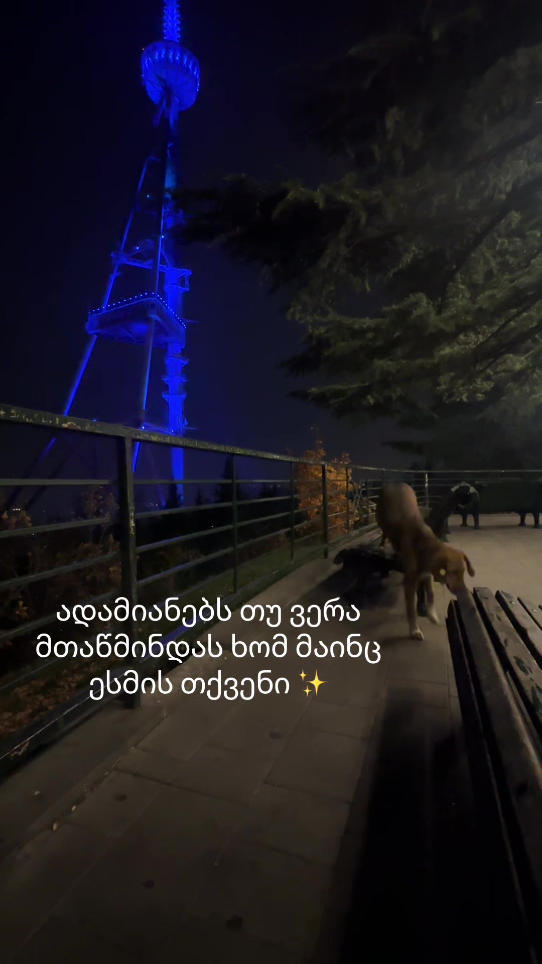 @a boy in love with Mtatsminda