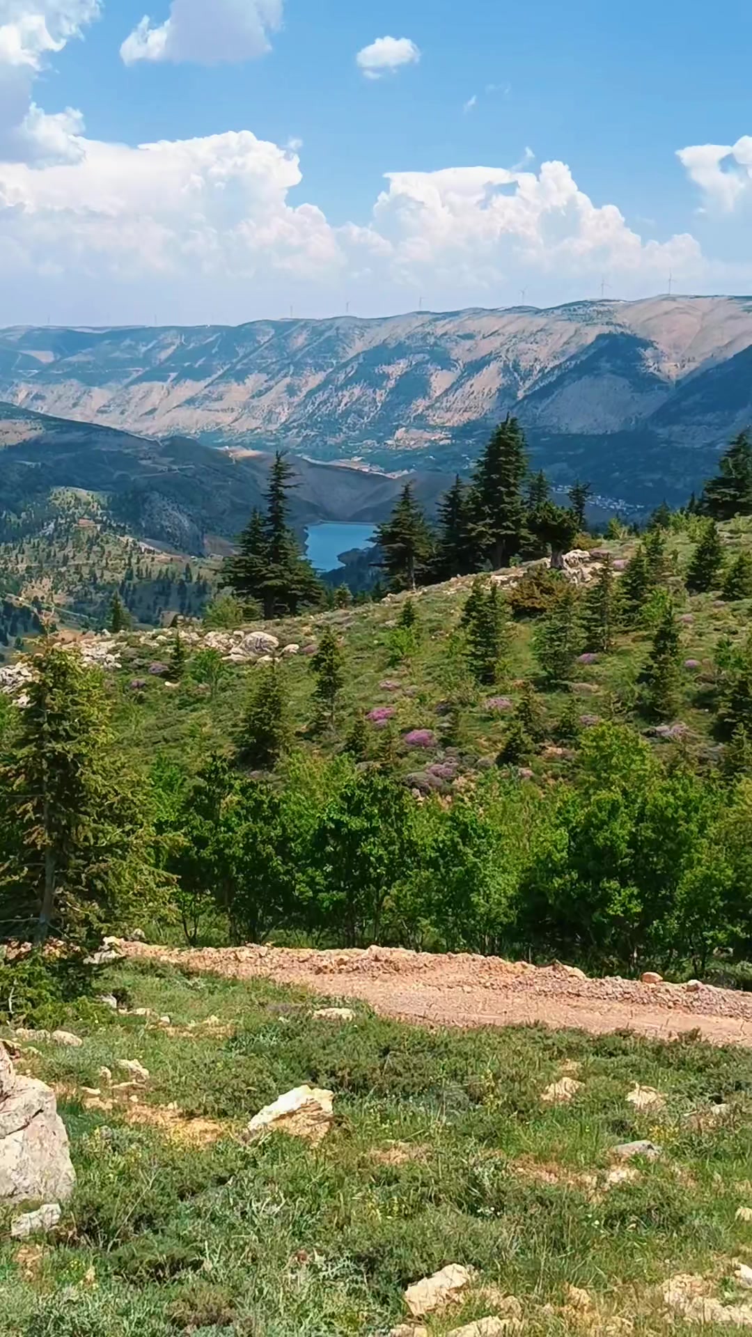 @DAĞCI.46